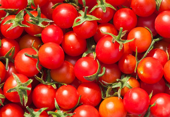 Red tomatoes 