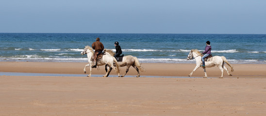 ballade de cheveaux sur la plage