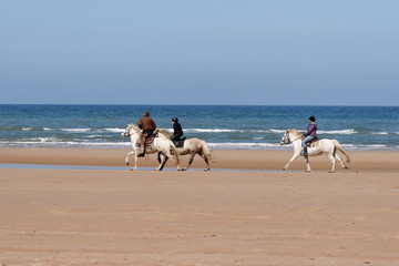 ballade de chevaux sur la plage