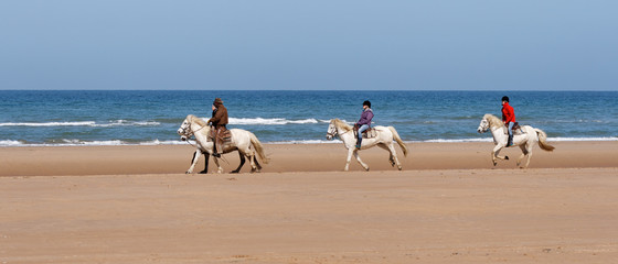 ballade de chevaux sur la plage