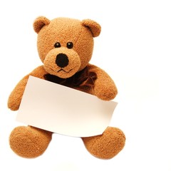 Teddy mit Schild
