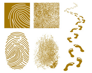Fingerprints and Footprints