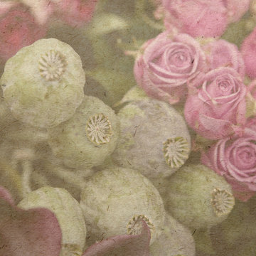 bouget poppy with rose. Vintage old paper texture