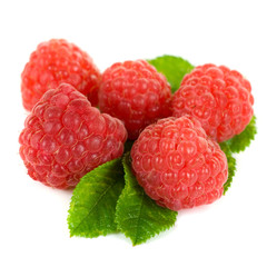 fresh raspberry