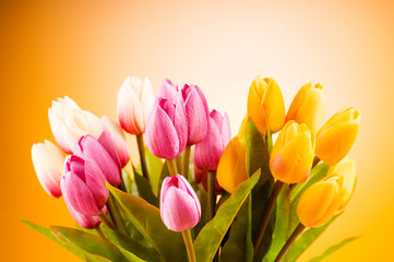 Bouquet of colorful tulips on the table