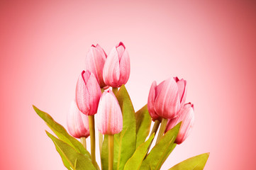 Bunch of tulip flowers on the table