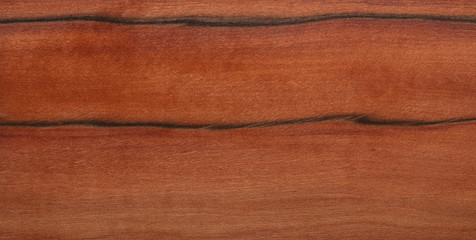 Holz