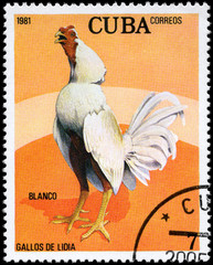 CUBA - CIRCA 1981 Blanco