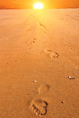 Fototapeta na wymiar human tracks on a sand at the sunset