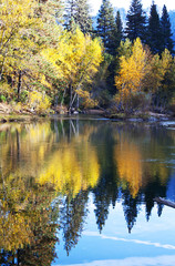 Autumn lake