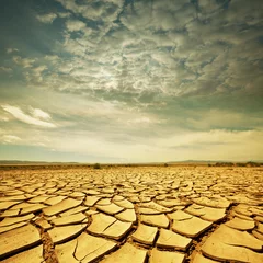 Fototapeten Drought lands © Galyna Andrushko