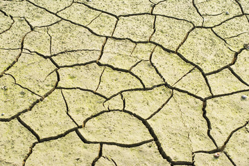 drought land was cracked.