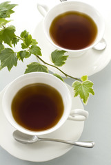 紅茶とアイビー