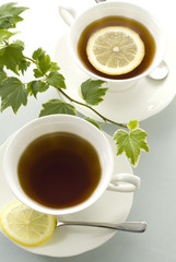 レモンティーとアイビー