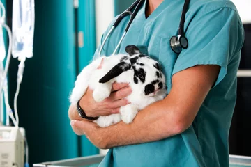 Deurstickers Rabbit at Vet Clinic © Tyler Olson