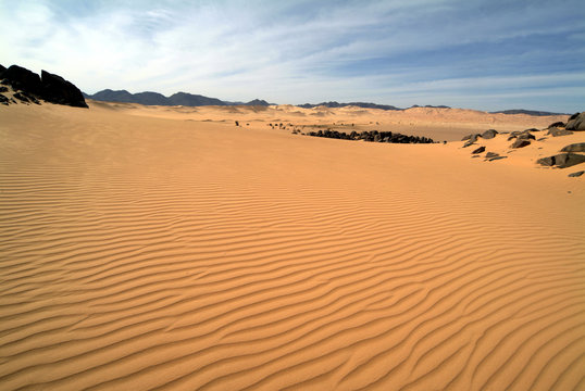 t&eacute;n&eacute;r&eacute; arakao