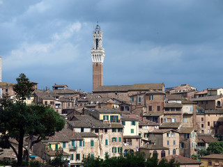 Fototapeta premium Siena - panorama of the old part of town with Torre del Manga