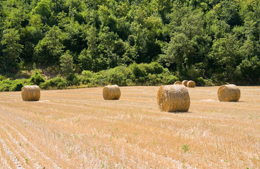 Rolling haystack in countryside.