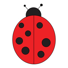 Obraz premium coccinella