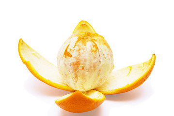 Orange isolated on the white background