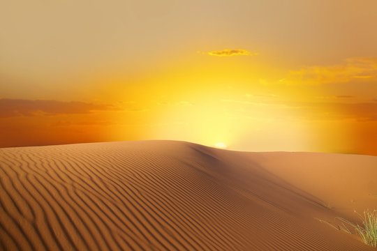 Fototapeta Sahara desert