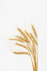 Wheat On White