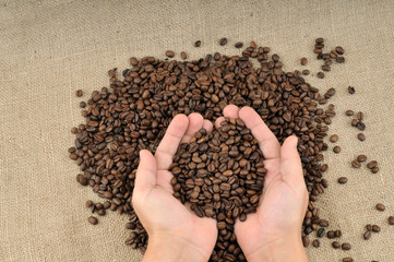 Hand full of coffee beans on canvas background