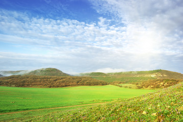 Obraz premium Pasture in meadow