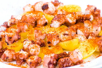 Pulpo a feira