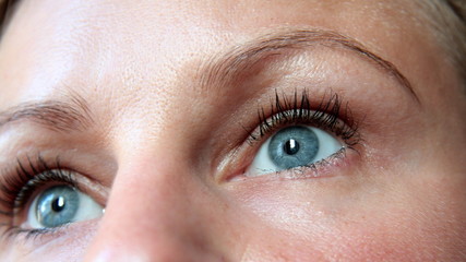 eyes