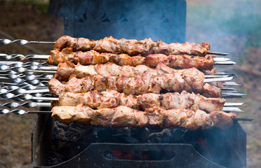 Shish kebab