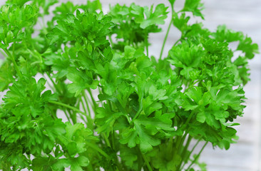 Fresh green curly parsley, shallow dof
