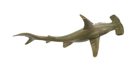 Toy hammerhead shark