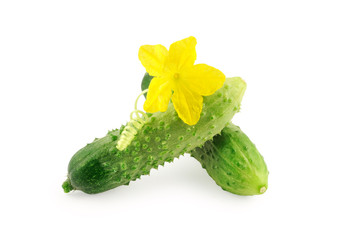 Cucumbers with flower isolated on white background