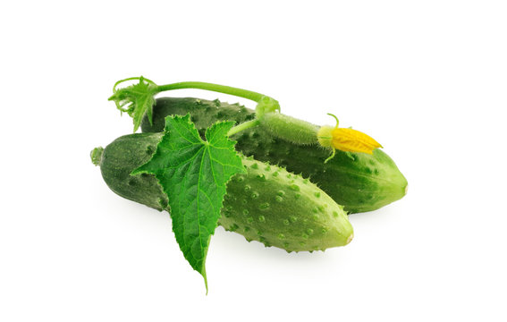 Cucumbers with leaf isolated on white background
