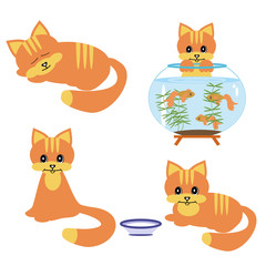 four cats on white background