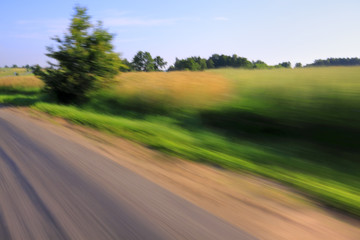 Road and tree with motion blur