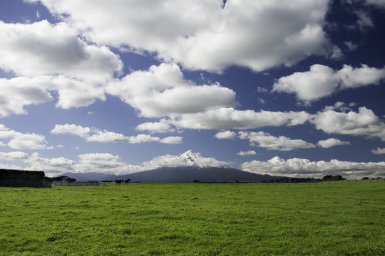 Mt Taranaki Egmont National Park