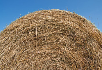 Bale of hay over blue sky