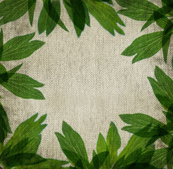 canvas loft leaf.