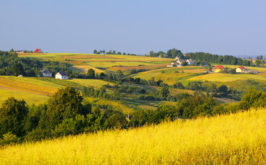 Wavy fields and village