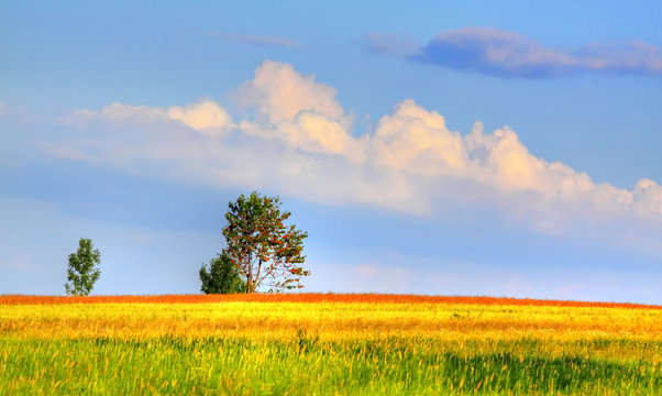 Landscape with coloured meadows and clouds