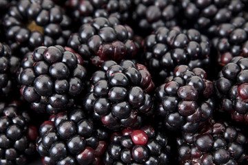 Blackberry berry