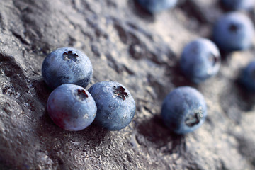 Blueberry (Northern Highbush Blueberry) fruits
