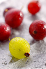 Yellow and red gooseberries