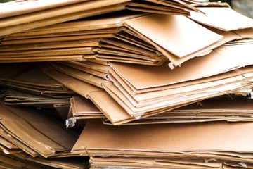 Fototapeta premium paper