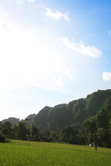 Scenic landscape featuring dramatic karst limestone mountains rising in the background, with lush green rice paddies spread across the foreground. This natural rural view represents Southeast Asian ag