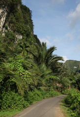 A paved asphalt road curves through a natural landscape, with a rugged rocky cliff rising on the left side. The scene reflects a quiet and remote countryside or mountain route, ideal for themes relate