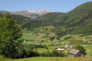 Fototapeta na wymiar Wieś nad Hardangerfjord w Norwegii
