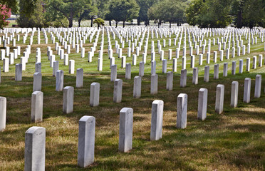 Fototapeta na wymiar Nagrobki na cmentarzu Arlington